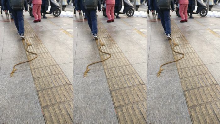 李沛璇脸20180130163601