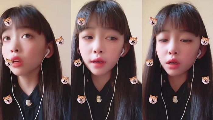 暑假作业系列332