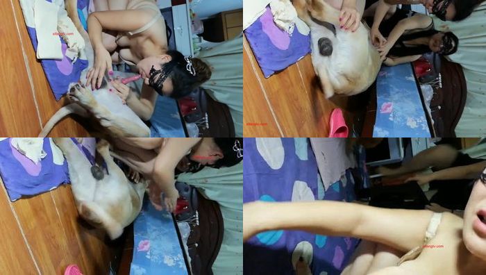 小马拉大车系列六101