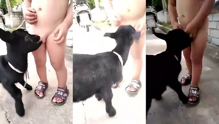 小马拉大车七系列124