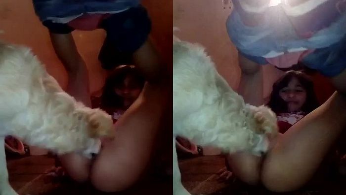 暗网xing暴力系列002