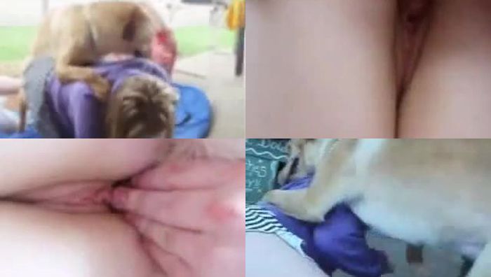 暗网xing暴力系列006