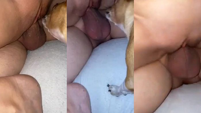 暗网xing暴力系列007