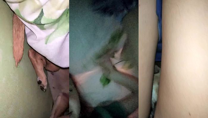 暗网xing暴力系列029