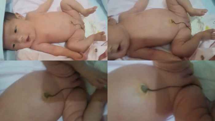 瑶瑶第一季系列001