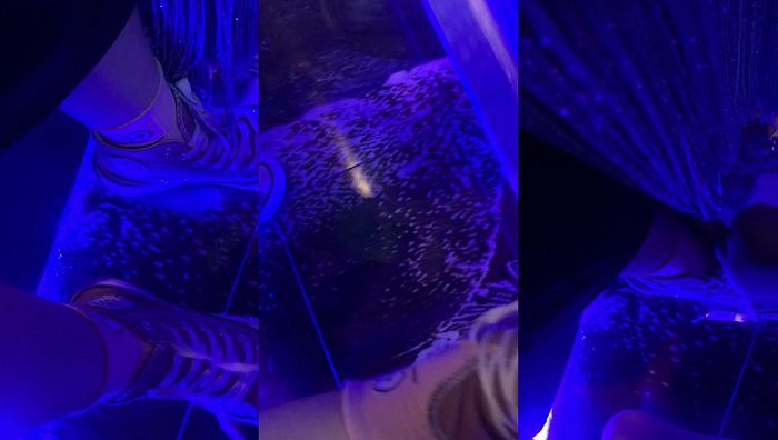 真实喝醉系列003