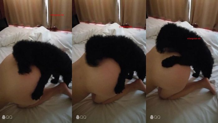 人与动物系列003