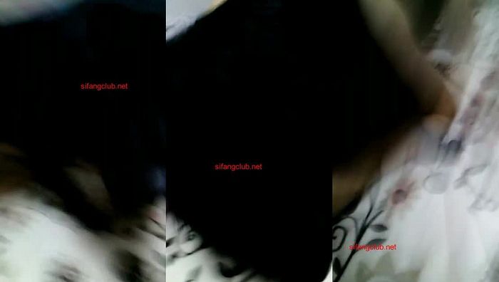 人与动物系列006