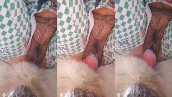 人与动物系列020