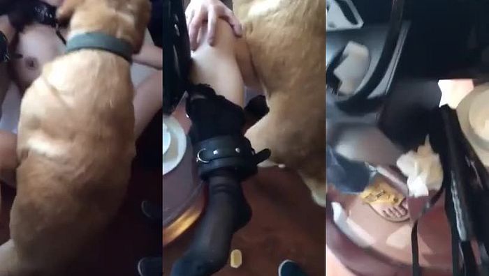 人与动物系列024