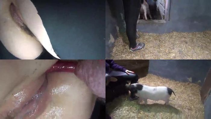 人与动物系列038