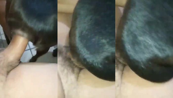 人与动物系列062