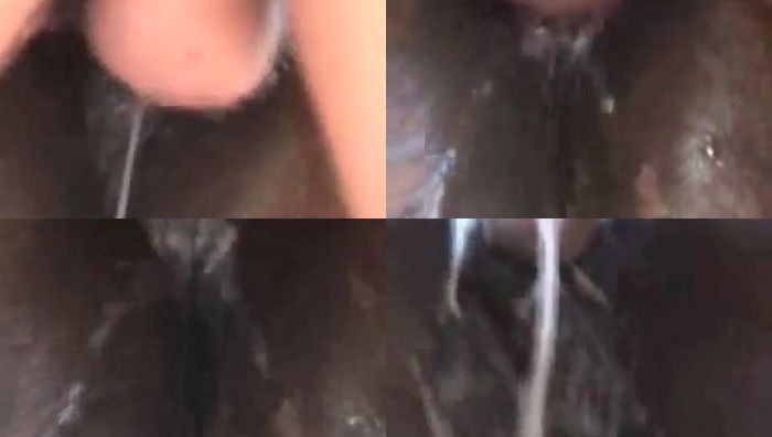 人与动物系列066