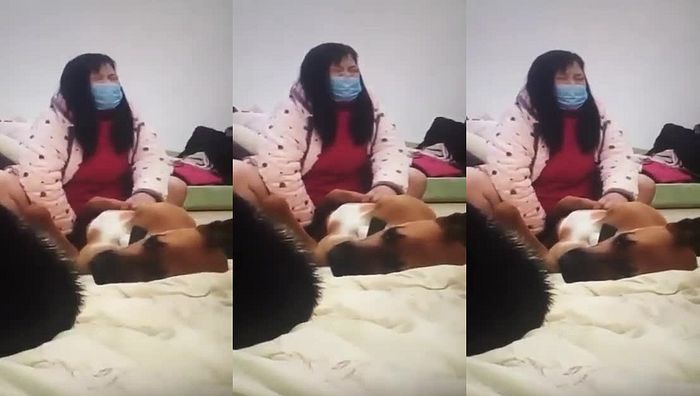 人与动物系列083