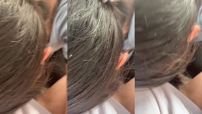 初中兄妹系列036