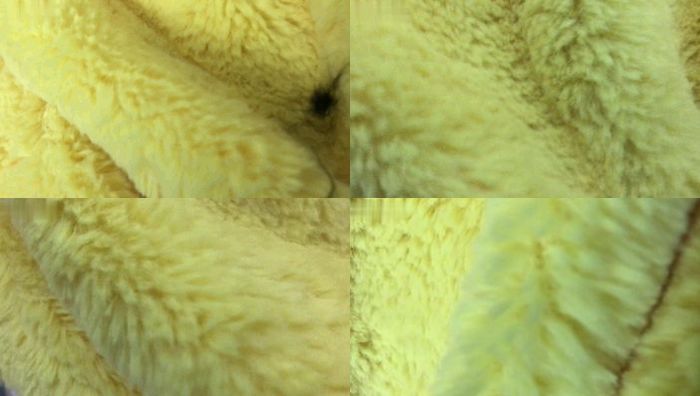 小初足交系列020